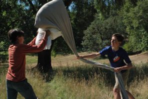 pillow jousting