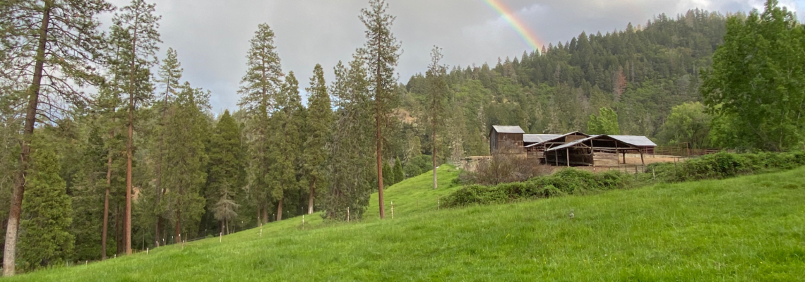 rainbow over barn