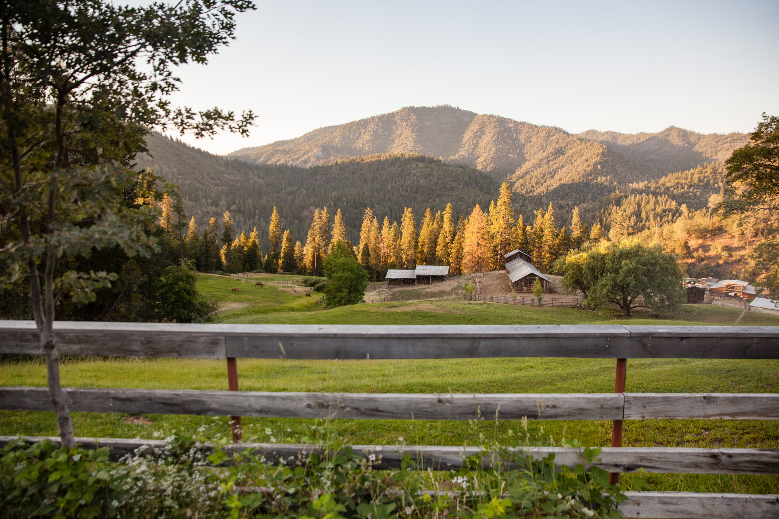 Barn hill in summer