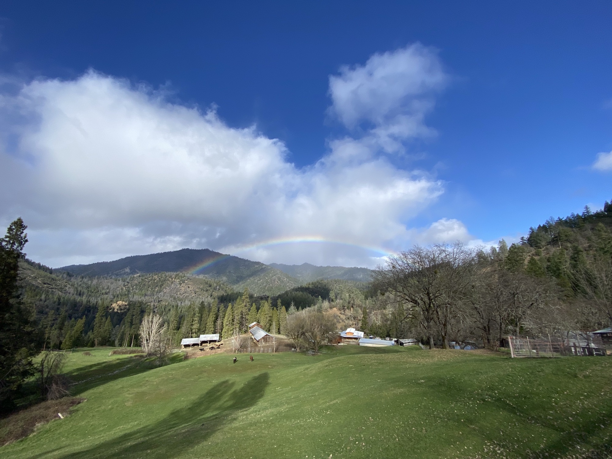 spring rainbow